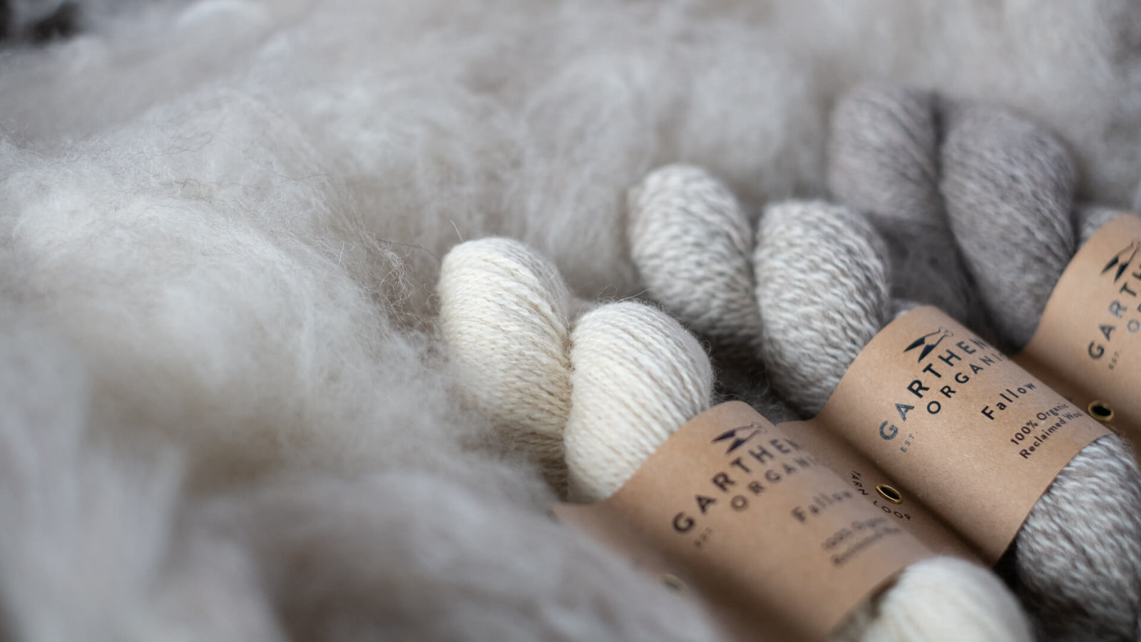 Undyed skeins of Garthenor Organic’s Fallow yarn in three shades — off-white (Rest), grey (Return), and marled (Interval) — nestled in soft fleece.