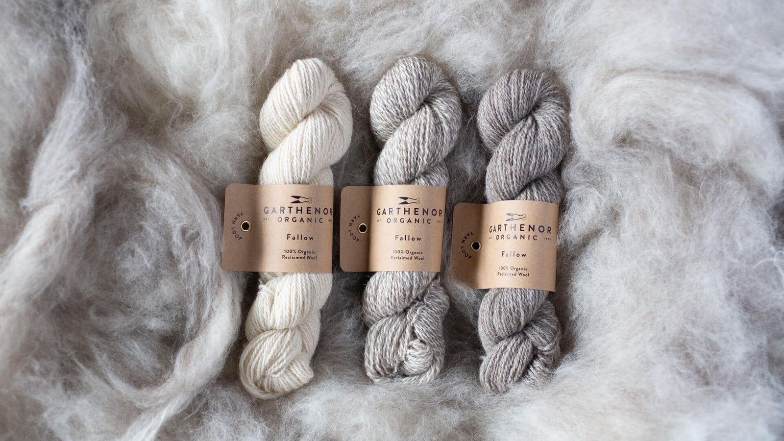 Three skeins of Garthenor Organic’s Fallow yarn — Rest, Return, and Interval — lying on undyed fleece.