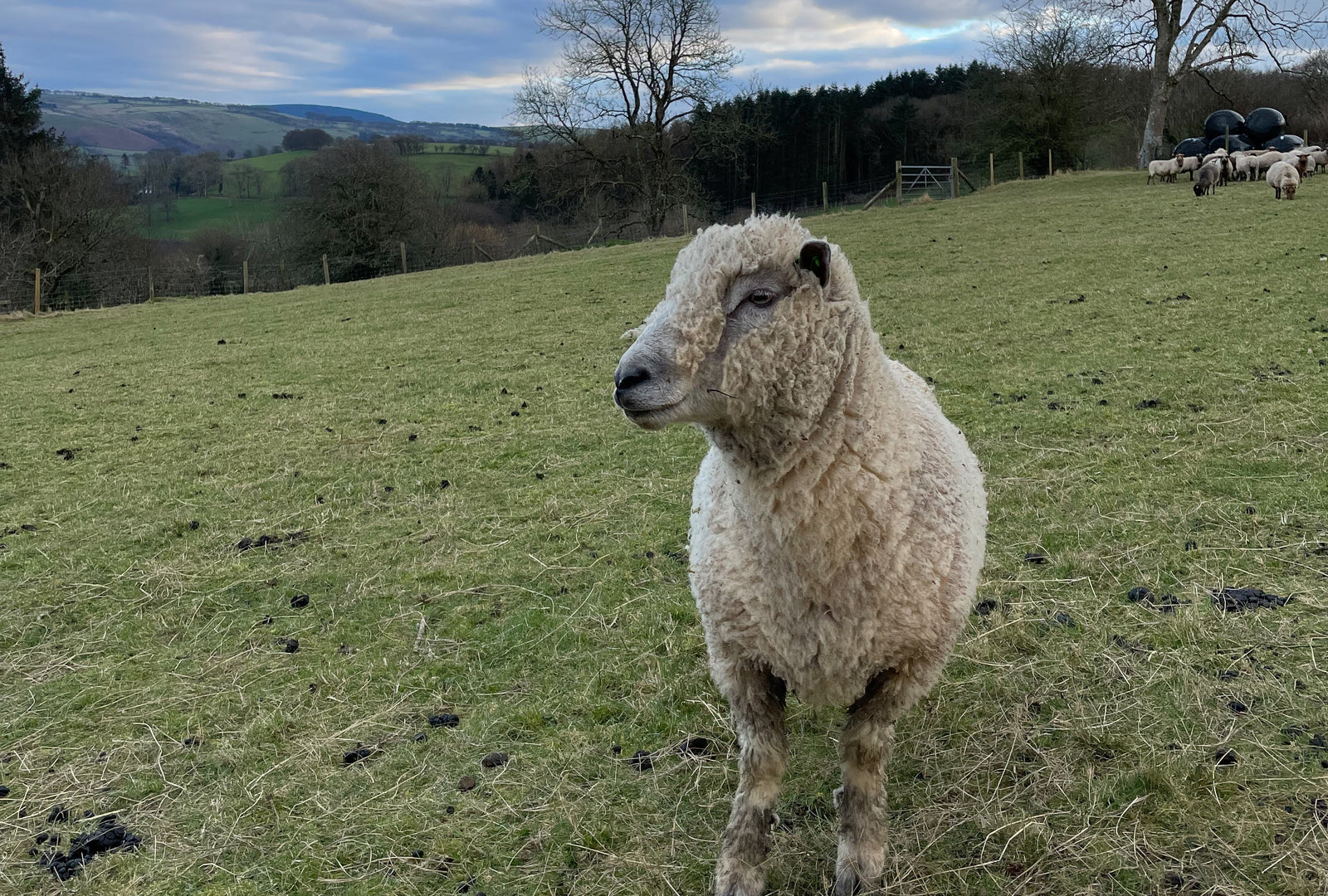 Better business, not better buzzwords