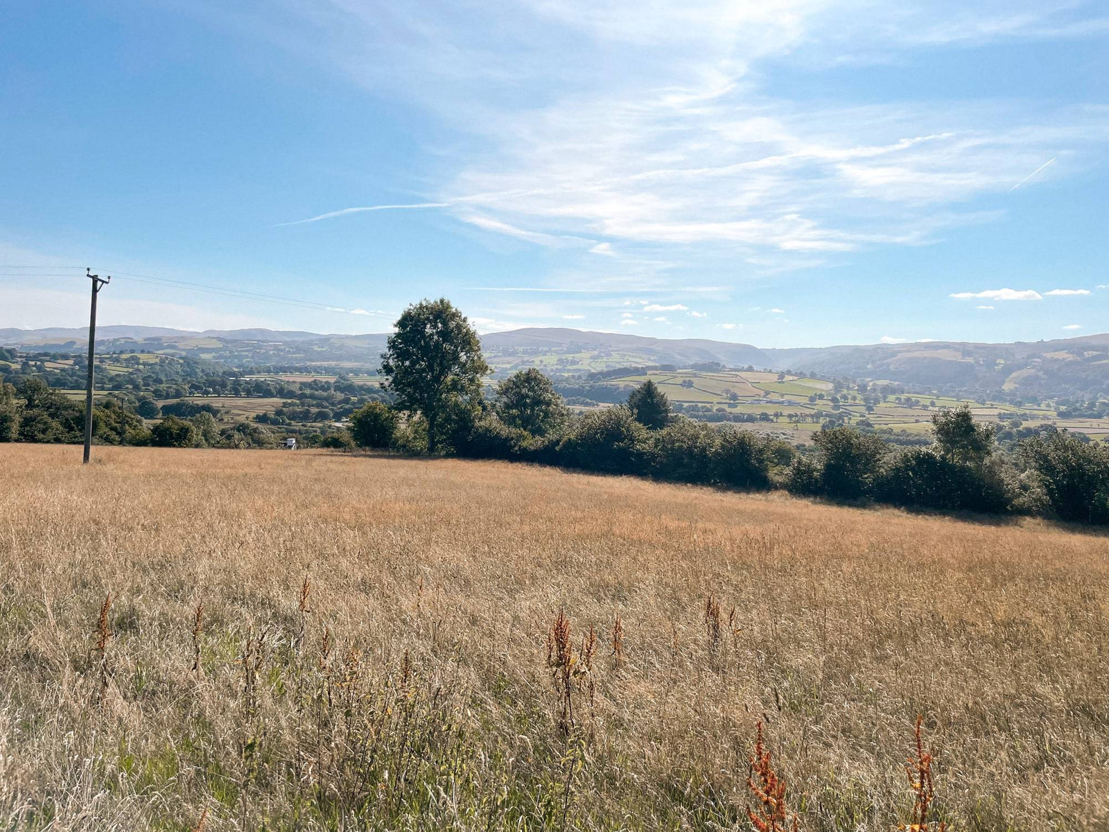 While the Sun Shines: Our Hay Meadow