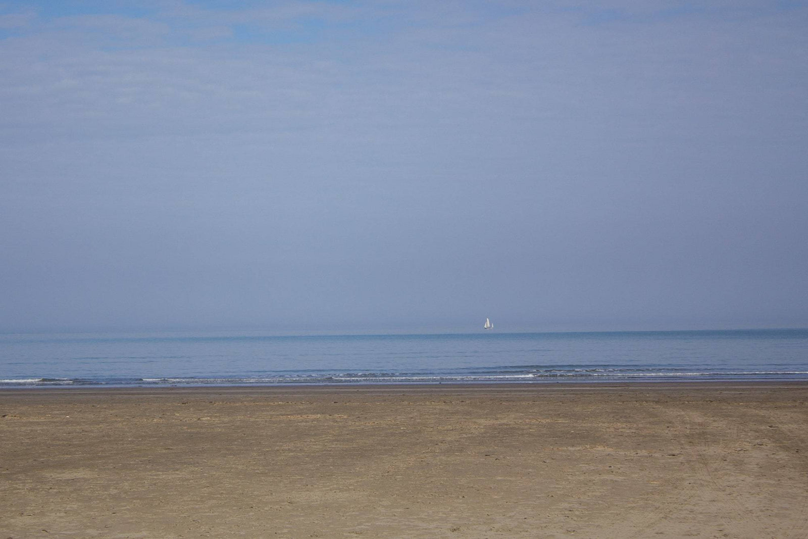 The Colours of Poppit