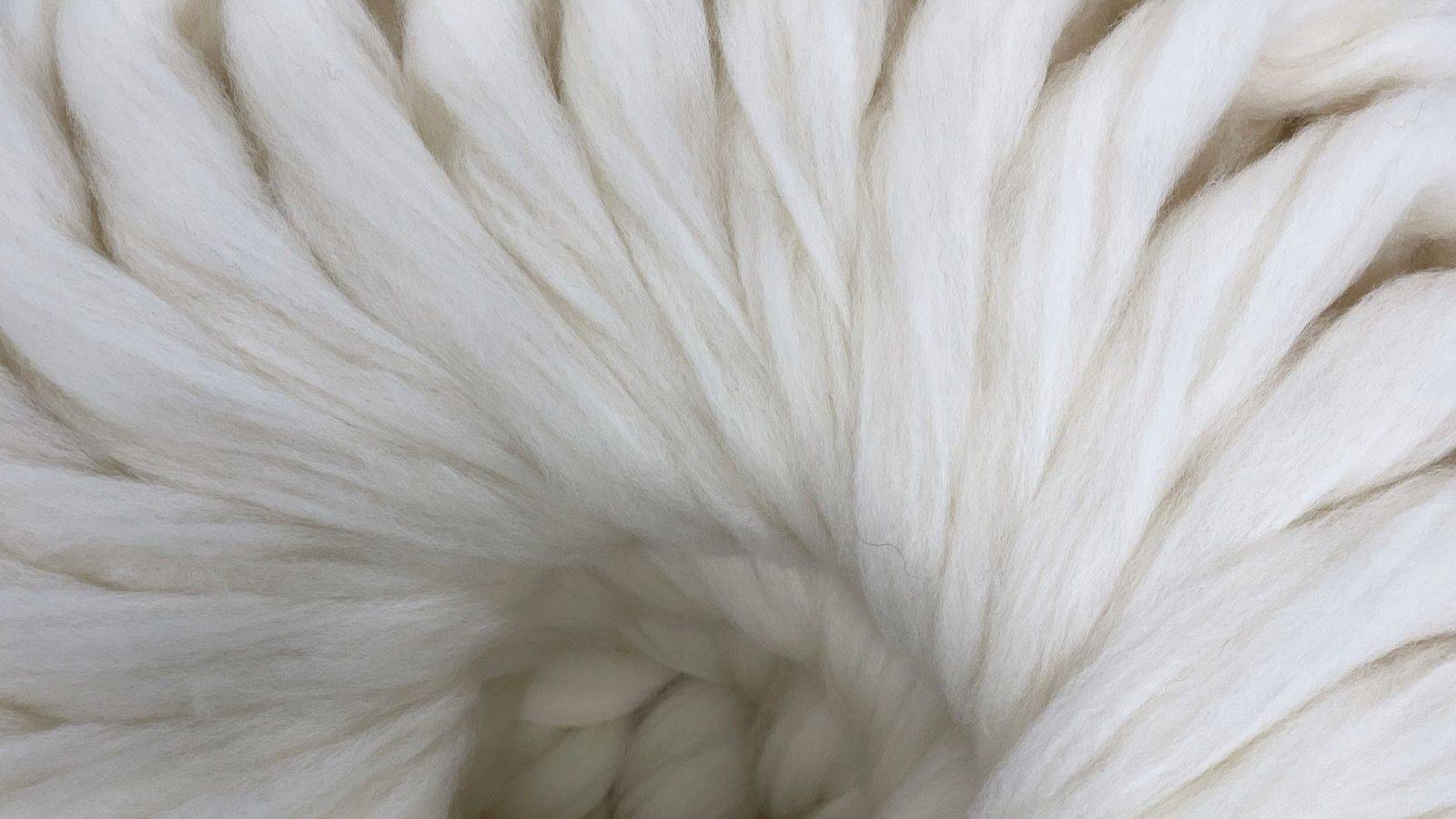 This Week in the Mill: February 7th