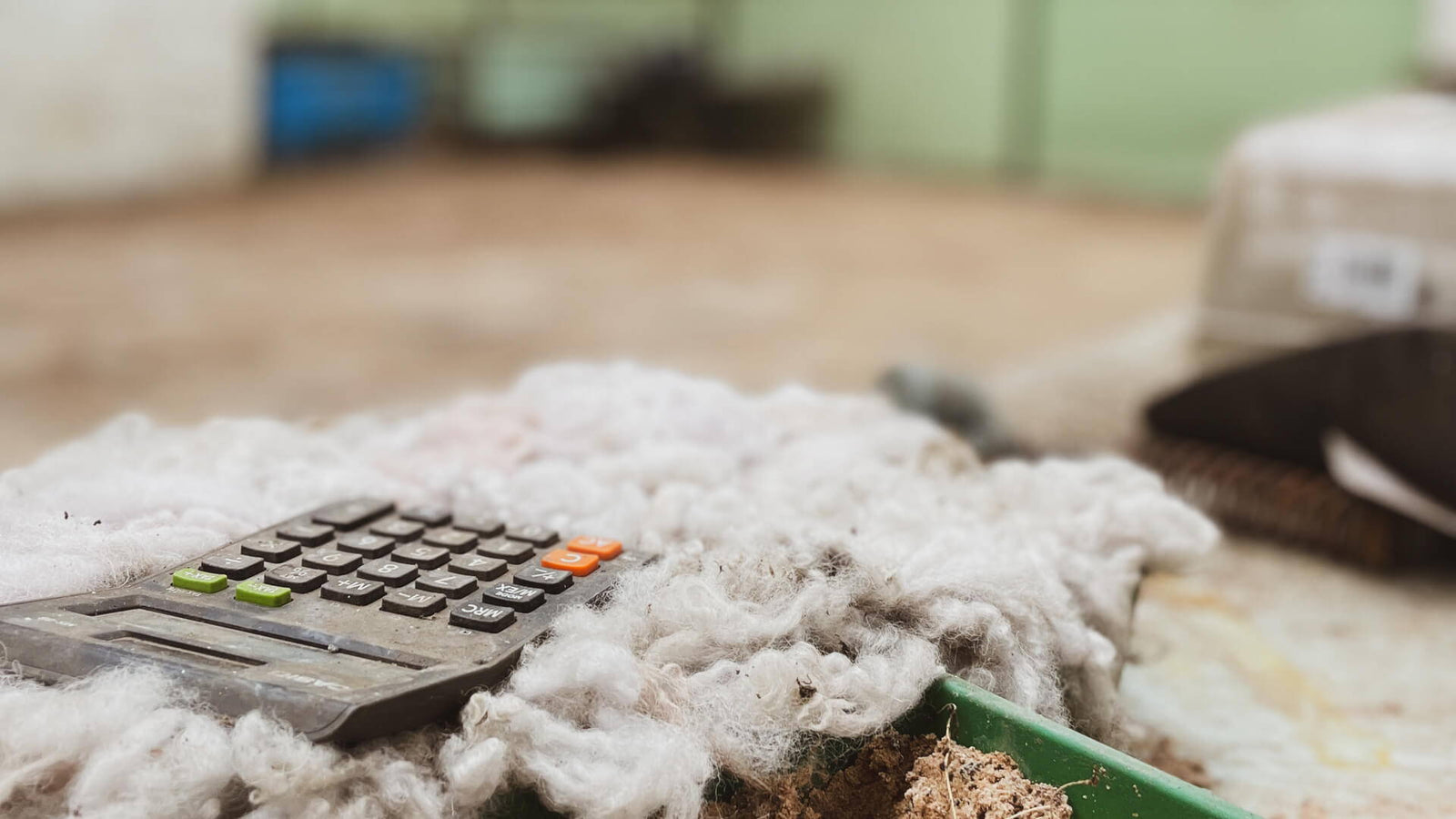 The Sounds of Silence