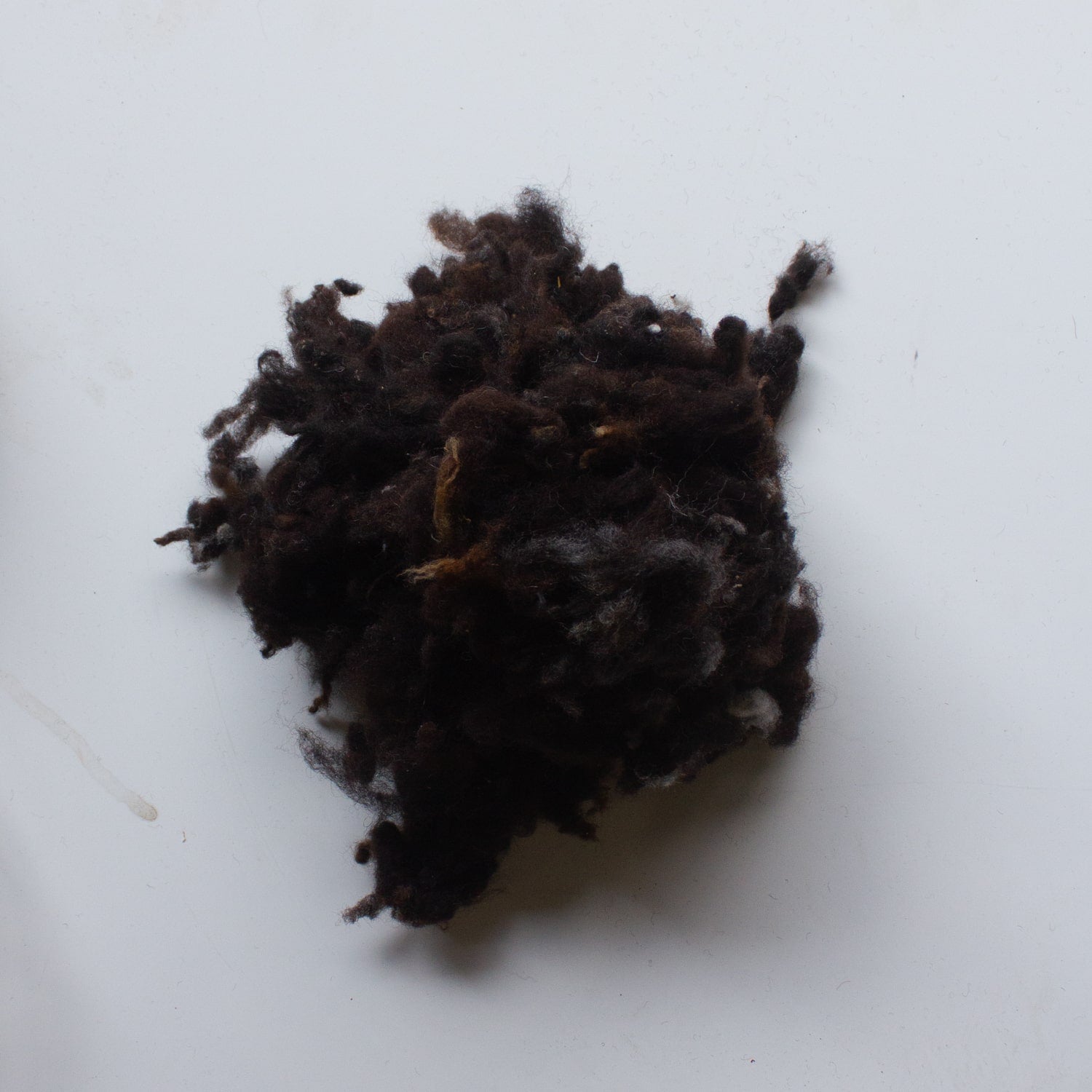 Organic Scoured Shetland Wool