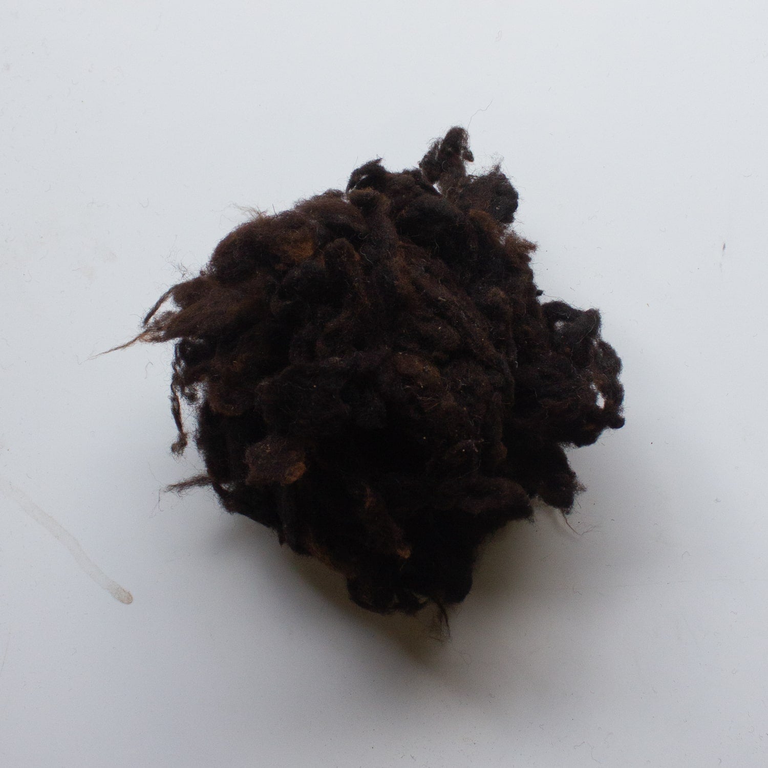 Organic Scoured Black Welsh Mountain Wool