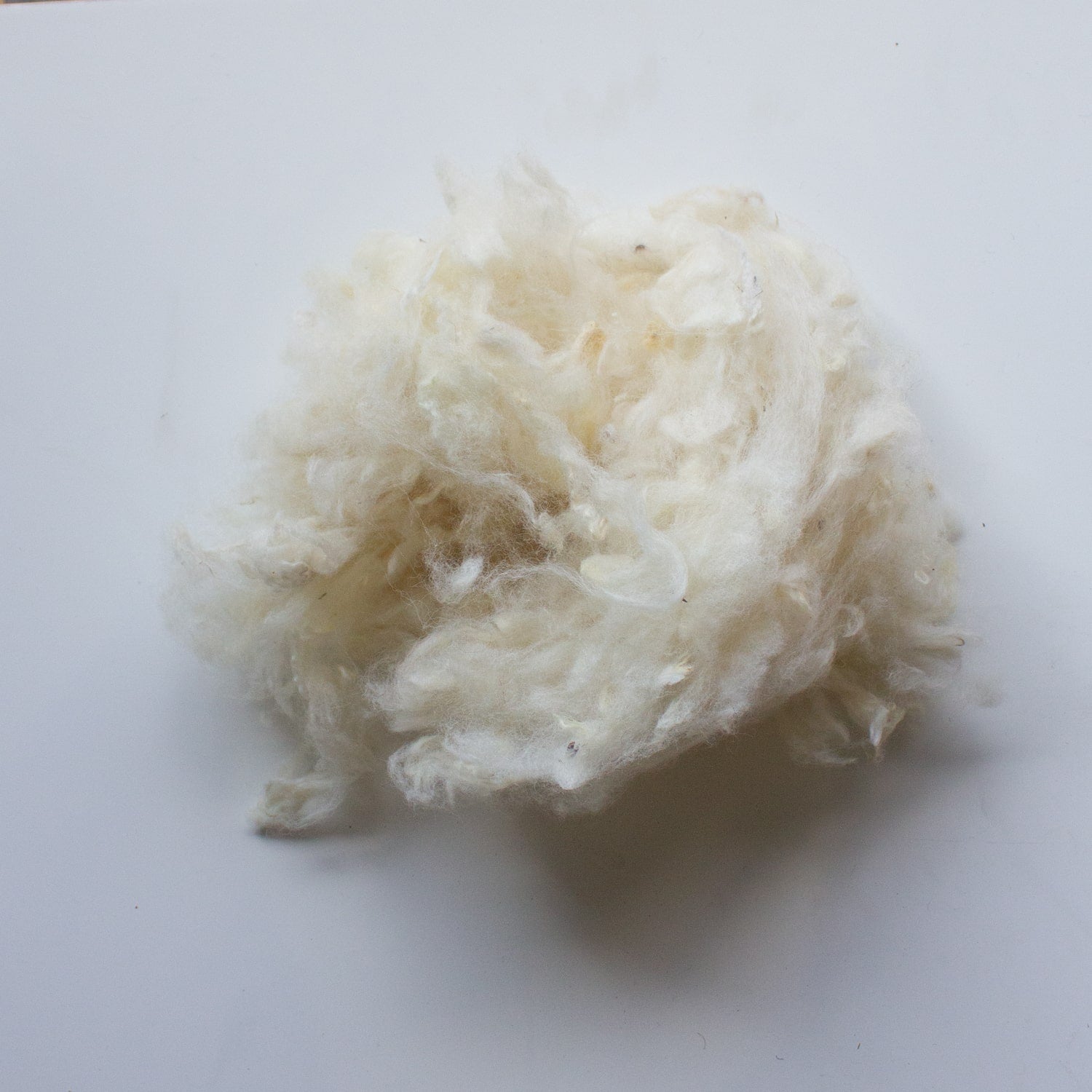 Organic Scoured Romney Wool