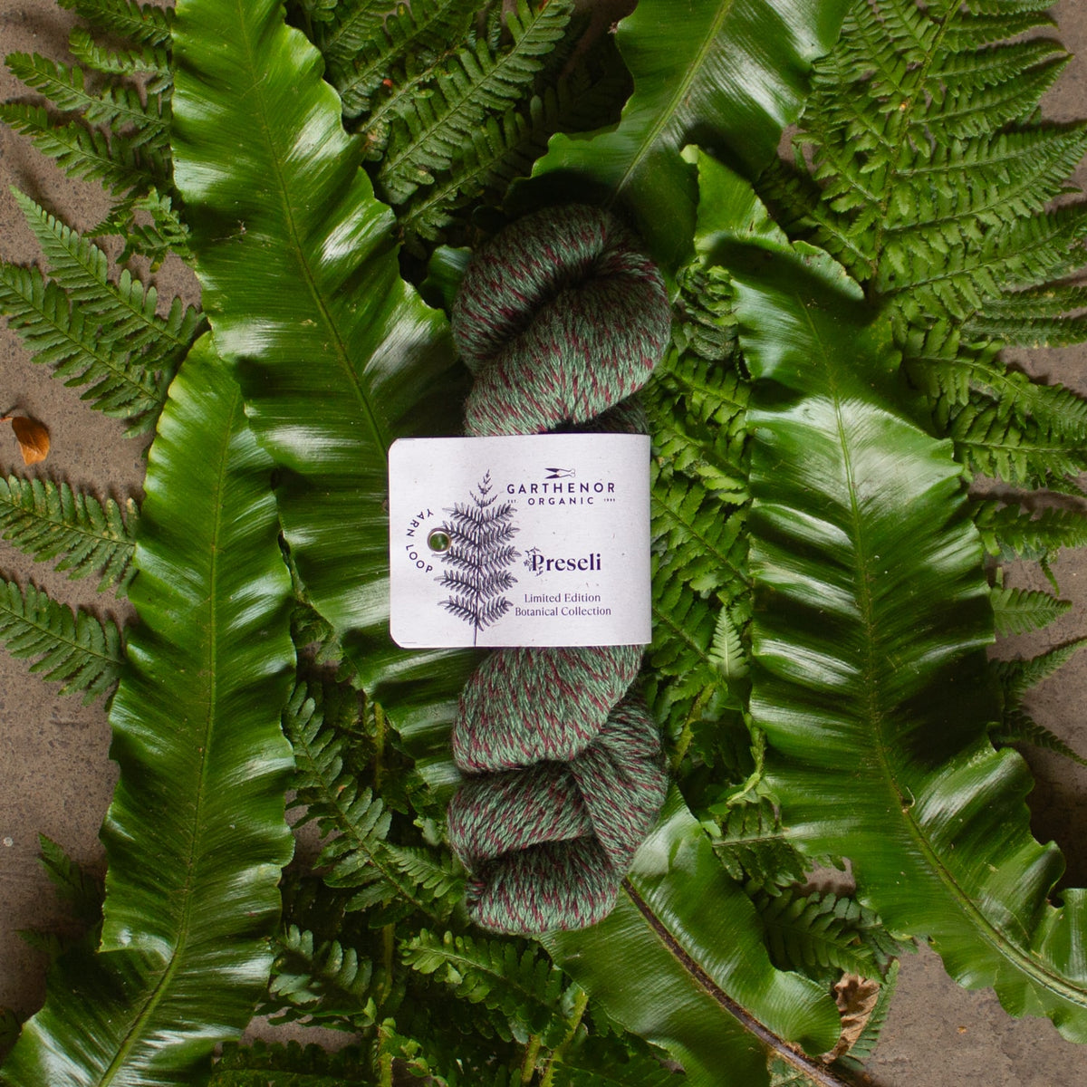 Preseli Botanical Collection