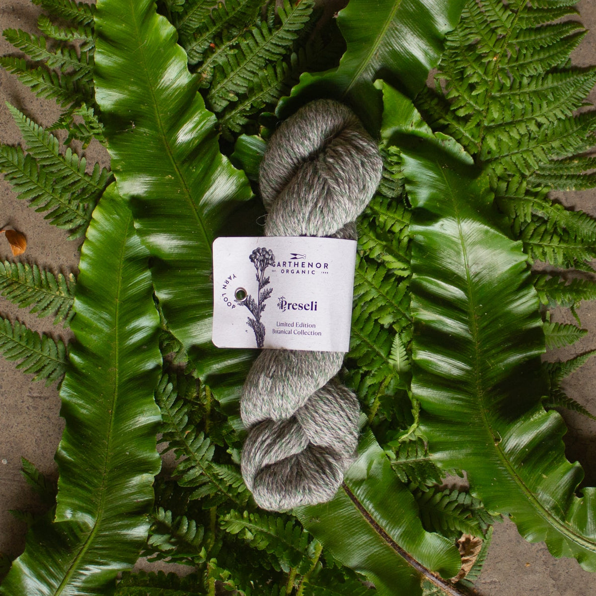 Preseli Botanical Collection