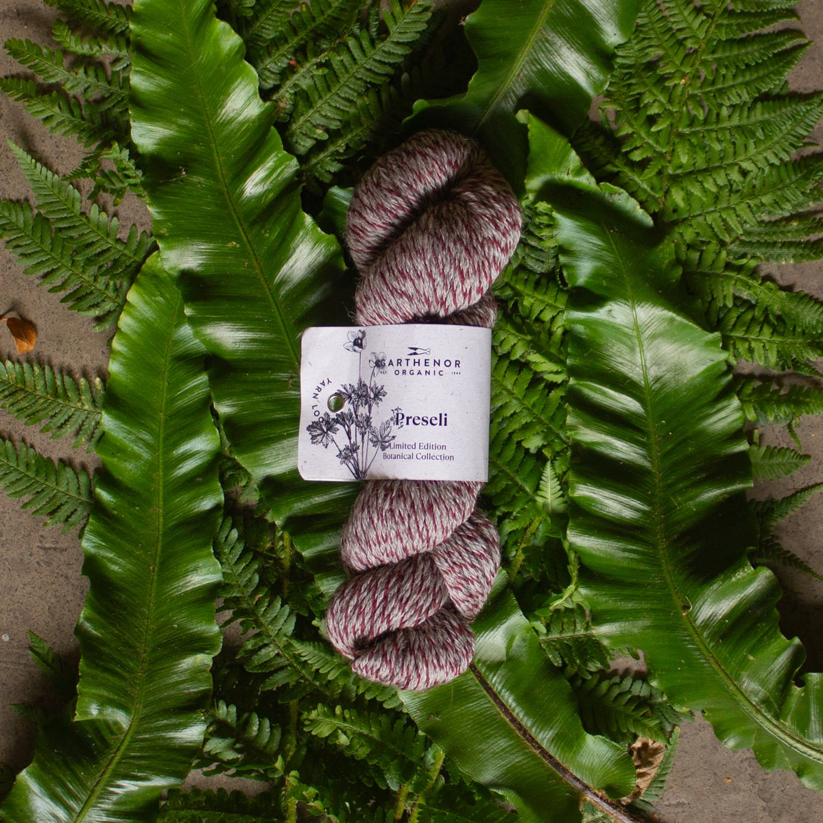 Preseli Botanical Collection