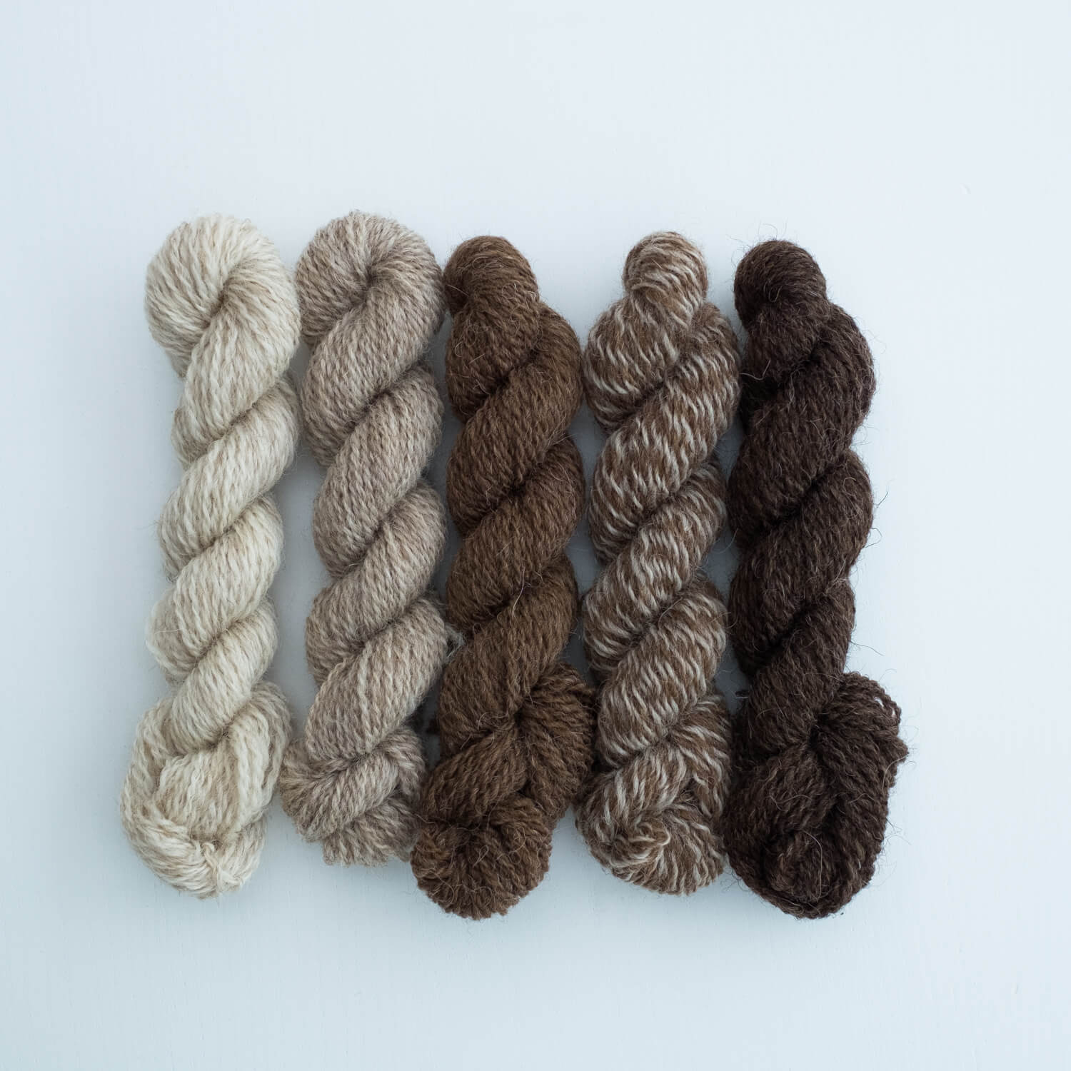 Number 2 Mini Skein Bundle: Loaghtan Layers